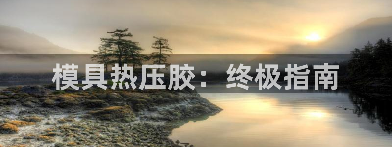 上海易倍投资有限公司：模具热压胶：终极指南