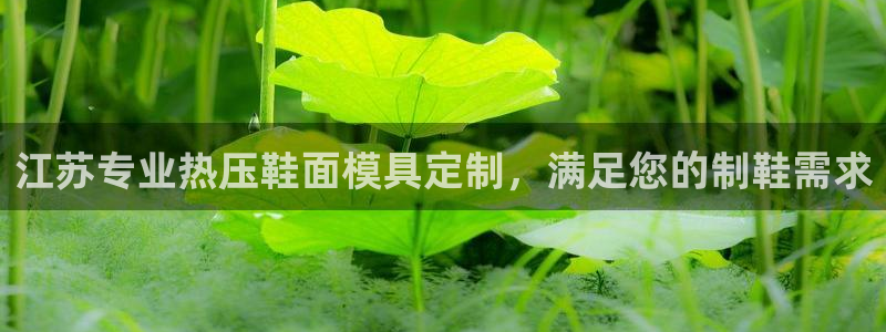 易倍申的价格