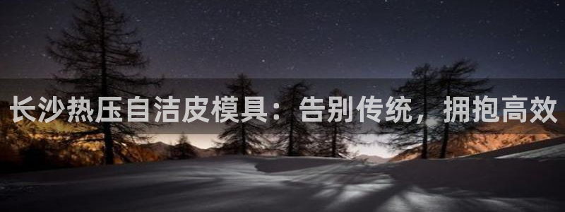 易倍emc网址网页版本登陆：长沙热压自洁皮模具：告别传统