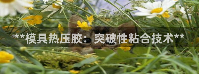 emc高频比低频好改：**模具热压胶：突破性粘合技术**