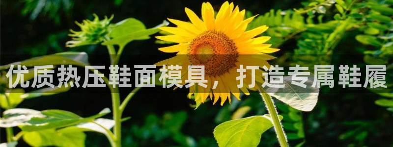 易倍emc网址