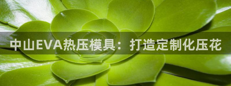 北京易倍思教育科技有限公司：中山EVA热压模具：打造定制