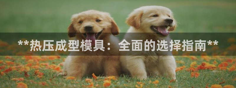 易倍EMC网址：**热压成型模具：全面的选择指南**