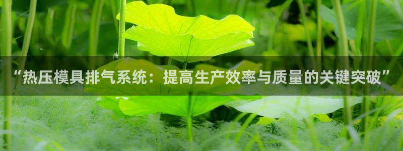emc易倍全站：“热压模具排气系统：提高生产效率与质量的