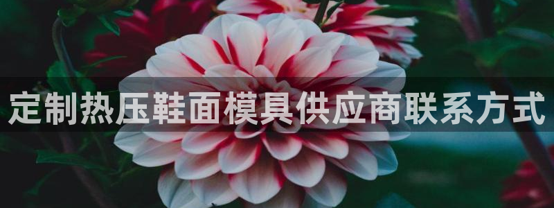 易倍网页版登录：定制热压鞋面模具供应商联系方式