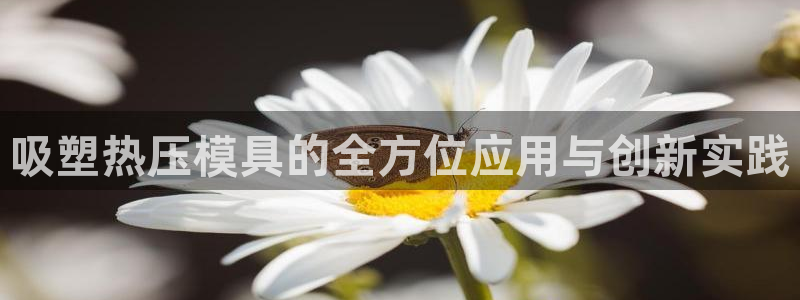 emc app下载