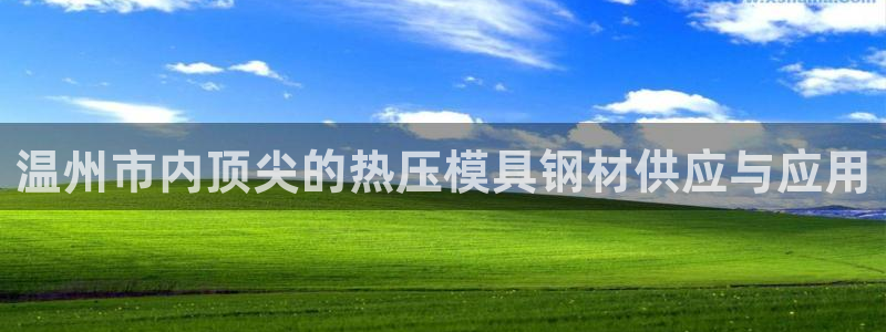 emc易贝体育怎么样：温州市内顶尖的热压模具钢材供应与应