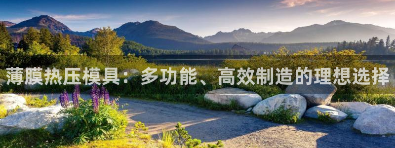 emc易倍官网app：薄膜热压模具：多功能、高效制造的理