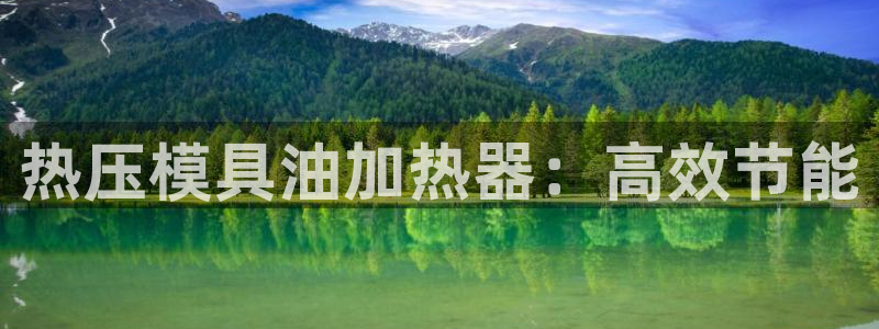 杭州易倍达科技有限公司怎么样：热压模具油加热器：高效节能