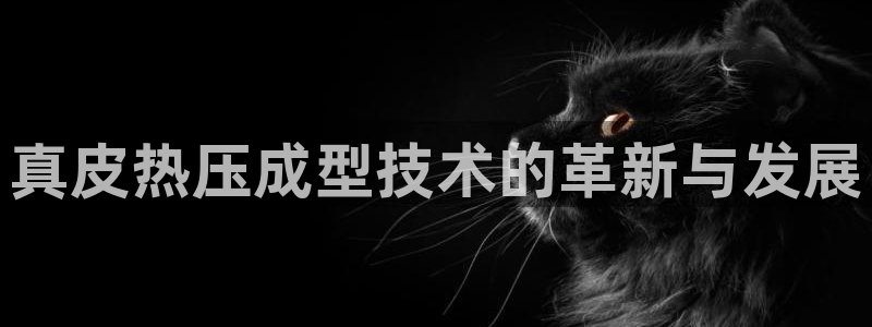 易倍申片：真皮热压成型技术的革新与发展