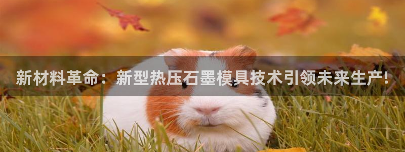 易倍申不良反应：新材料革命：新型热压石墨模具技术引领未来