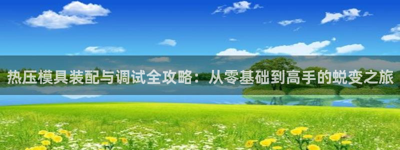 emc易倍怎么样：热压模具装配与调试全攻略：从零基础到高