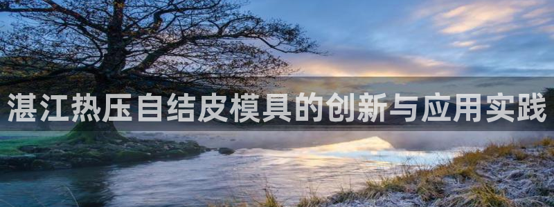 上海易倍投资有限公司：湛江热压自结皮模具的创新与应用实践