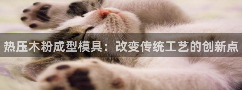 EMC倍频是什么意思：热压木粉成型模具：改变传统工艺的创