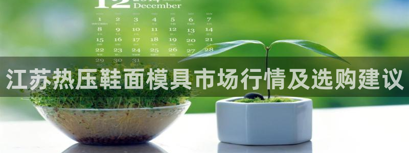 EMC易倍让身份验证：江苏热压鞋面模具市场行情及选购建议
