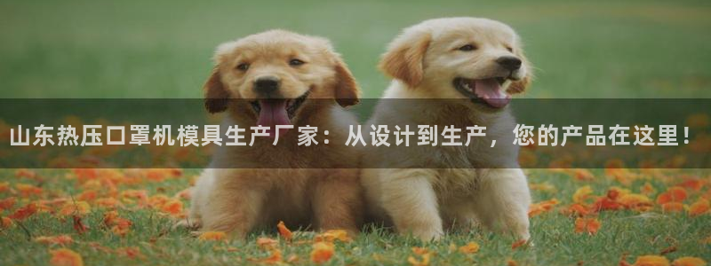 易倍申的价格：山东热压口罩机模具生产厂家：从设计到生产，