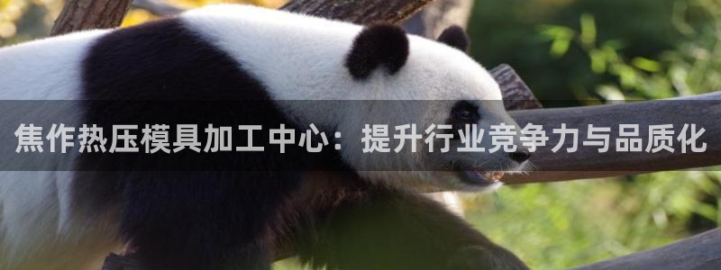 易倍单词官方网站登录：焦作热压模具加工中心：提升行业竞争