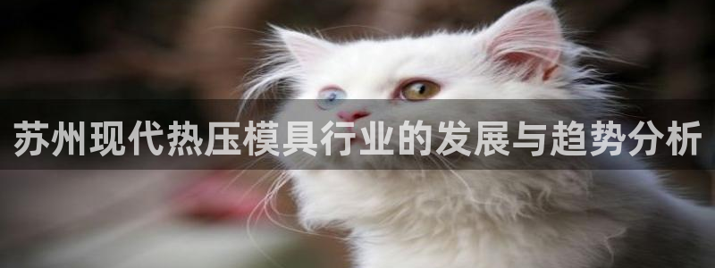 emc易倍怎么样：苏州现代热压模具行业的发展与趋势分析