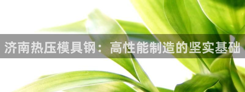 emc下载：济南热压模具钢：高性能制造的坚实基础