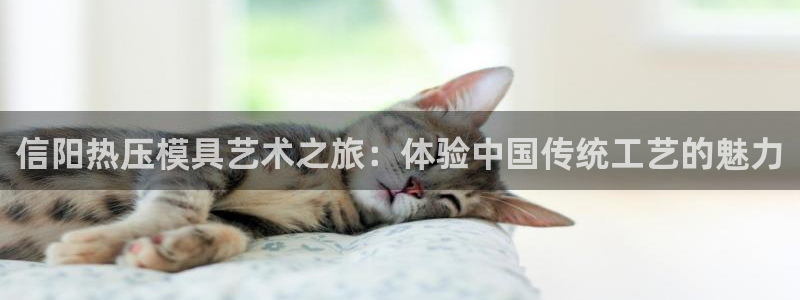 易倍纤瘦身三部曲的价格：信阳热压模具艺术之旅：体验中国传