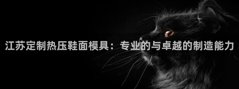 易倍申片的功效与作用：江苏定制热压鞋面模具：专业的与卓越