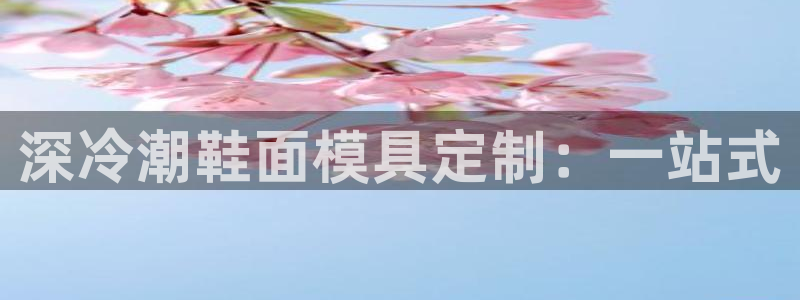 emc下载ios：深冷潮鞋面模具定制：一站式