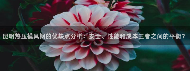 易倍网页版登录：昆明热压模具钢的优缺点分析：安全、性能和
