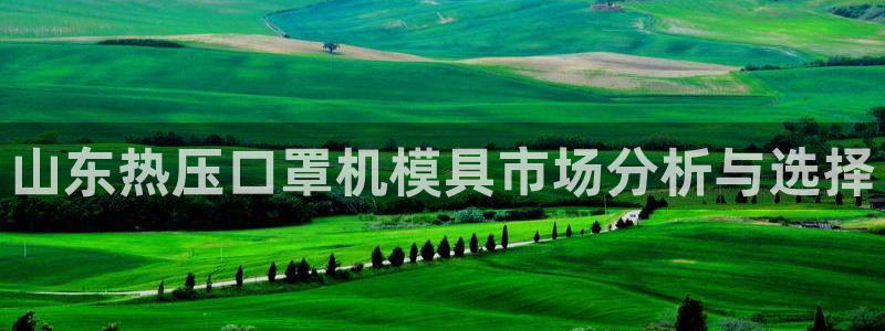emc易倍在线登录：山东热压口罩机模具市场分析与选择