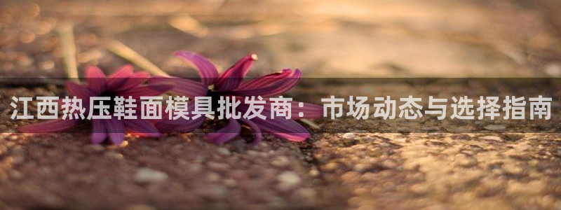 易倍申价格：江西热压鞋面模具批发商：市场动态与选择指南