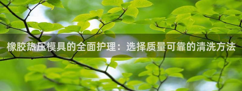emc登录网站：橡胶热压模具的全面护理：选择质量可靠的清