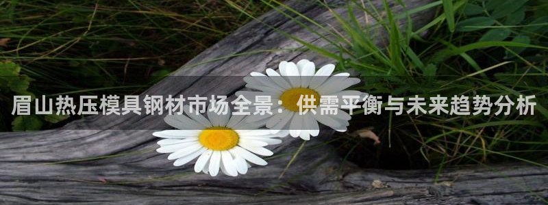易倍达科技有限公司：眉山热压模具钢材市场全景：供需平衡与