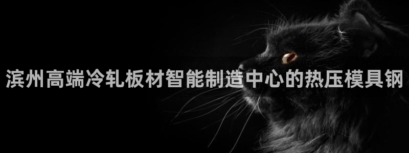 易倍网络技术有限公司怎么样