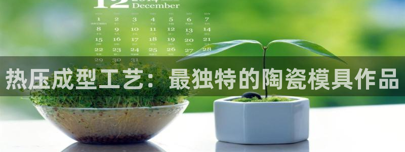 emc服务器是干啥的：热压成型工艺：最独特的陶瓷模具作品