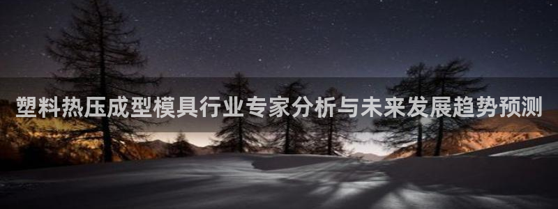 易倍企业管理软件：塑料热压成型模具行业专家分析与未来发展