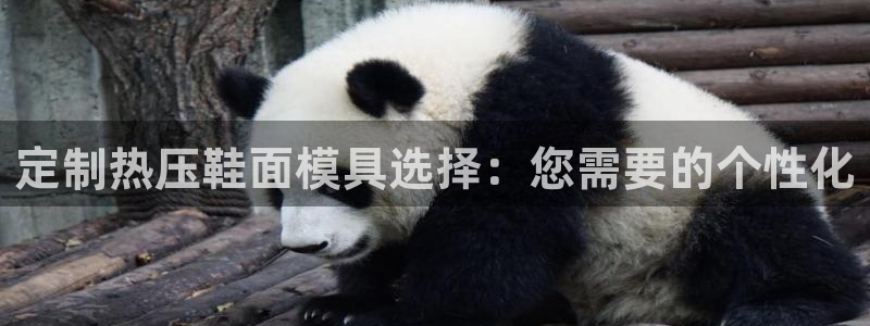 北京易倍思教育科技有限公司：定制热压鞋面模具选择：您需要