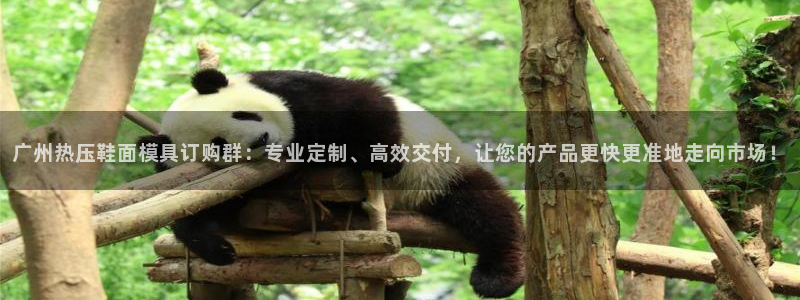 易倍单词app官网：广州热压鞋面模具订购群：专业定制、高