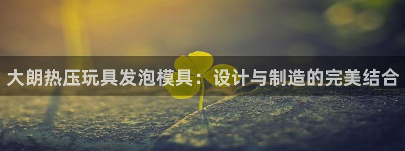 易倍emc网址网页版本登陆：大朗热压玩具发泡模具：设计与
