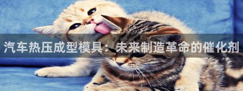 易倍申片的副作用：汽车热压成型模具：未来制造革命的催化剂