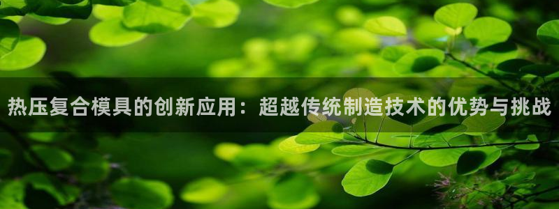 EMC倍频系数：热压复合模具的创新应用：超越传统制造技术