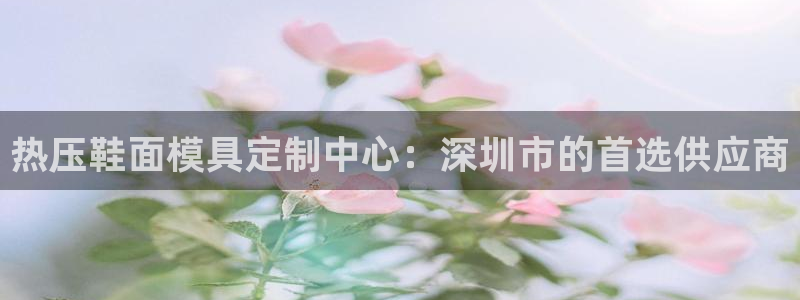 易倍EMC网址：热压鞋面模具定制中心：深圳市的首选供应商