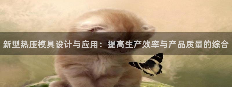 emc服务器是干啥的：新型热压模具设计与应用：提高生产效