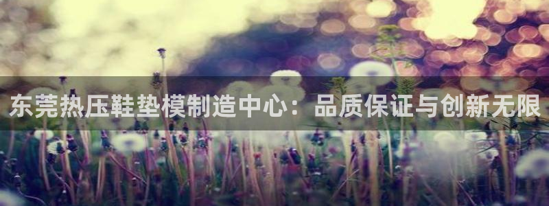 emc易倍账号异常：东莞热压鞋垫模制造中心：品质保证与创
