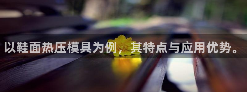 易倍emc全站：以鞋面热压模具为例，其特点与应用优势。