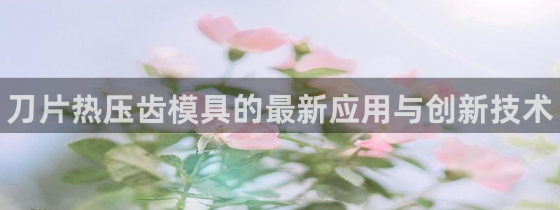 EMC易倍官方网址：刀片热压齿模具的最新应用与创新技术