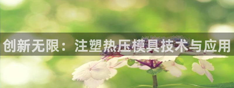 易倍网络技术有限公司怎么样：创新无限：注塑热压模具技术与