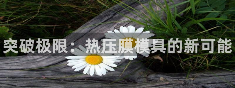 易倍下载：突破极限：热压膜模具的新可能