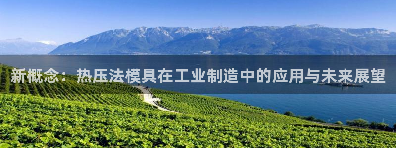 易倍纤怎么使用：新概念：热压法模具在工业制造中的应用与未