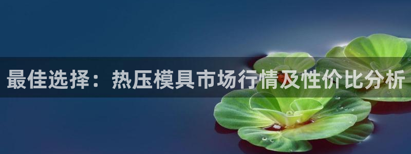 易倍达科技有限公司代运营：最佳选择：热压模具市场行情及性