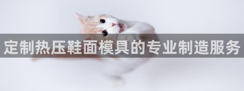 易倍单词登录平台:定制热压鞋面模具的专业制造服务