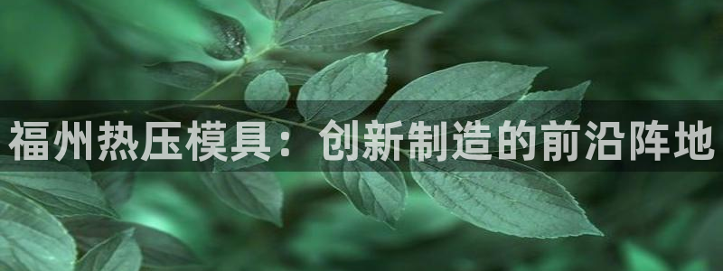 易倍单词官方网站：福州热压模具：创新制造的前沿阵地